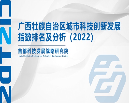 干欧美B【成果发布】广西壮族自治区城市科技创新发展指数排名及分析（2022）